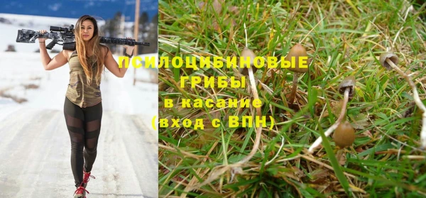 индика Балахна