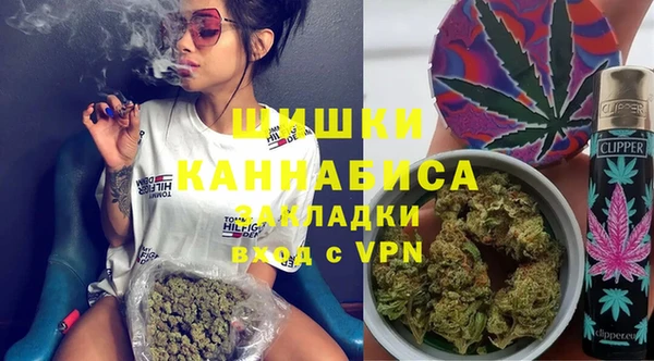 индика Балахна