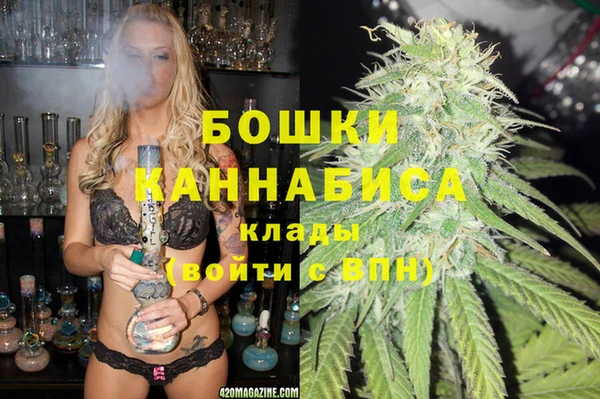 индика Балахна