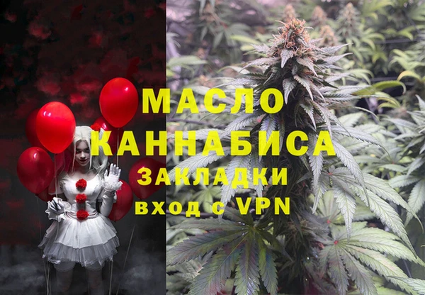 индика Балахна