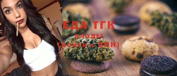 индика Балахна