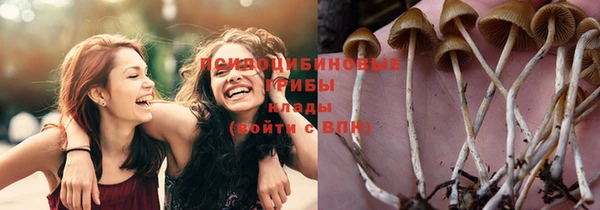 индика Балахна