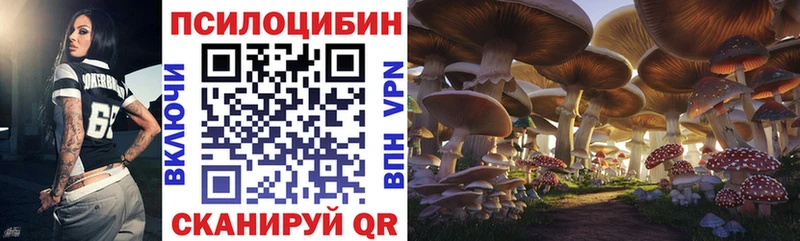 Галлюциногенные грибы Psilocybine cubensis  Галич 